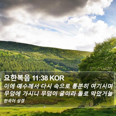 요한복음 11:38 KOR Bible Verse Image