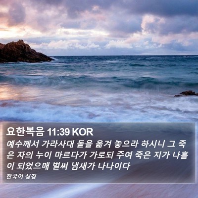 요한복음 11:39 KOR Bible Verse Image