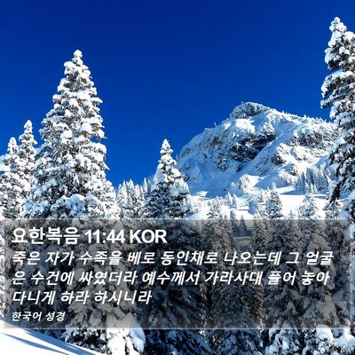 요한복음 11:44 KOR Bible Verse Image