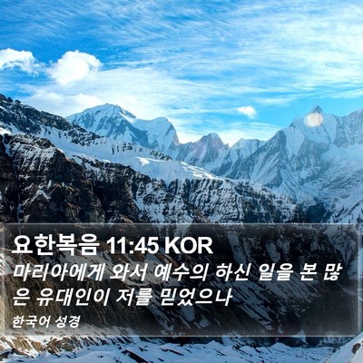 요한복음 11:45 KOR Bible Verse Image