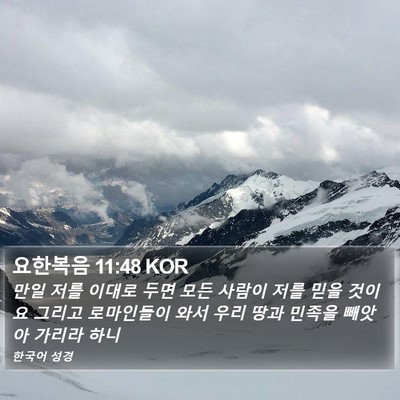 요한복음 11:48 KOR Bible Verse Image