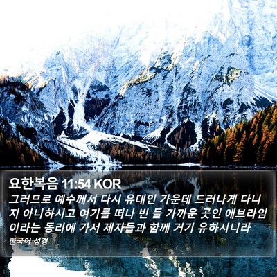 요한복음 11:54 KOR Bible Verse Image