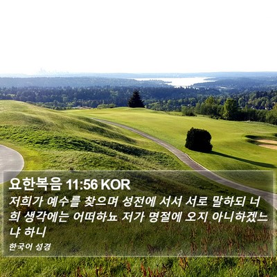 요한복음 11:56 KOR Bible Verse Image