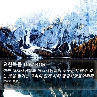 요한복음 11:57 KOR Bible Verse Image
