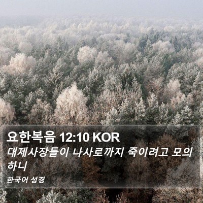 요한복음 12:10 KOR Bible Verse Image