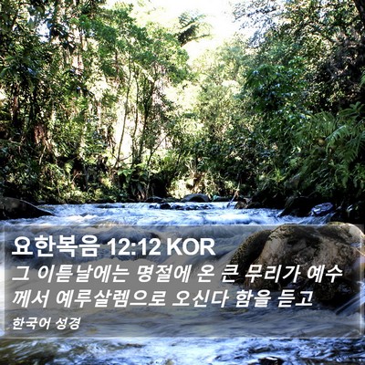 요한복음 12:12 KOR Bible Verse Image