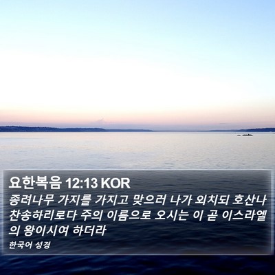 요한복음 12:13 KOR Bible Verse Image