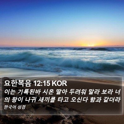 요한복음 12:15 KOR Bible Verse Image
