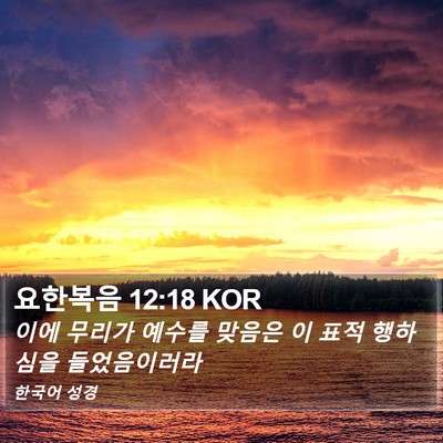 요한복음 12:18 KOR Bible Verse Image