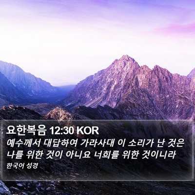 요한복음 12:30 KOR Bible Verse Image
