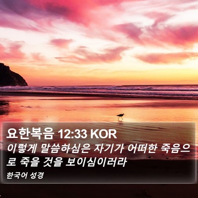 요한복음 12:33 KOR Bible Verse Image