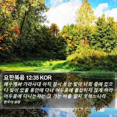요한복음 12:35 KOR Bible Verse Image