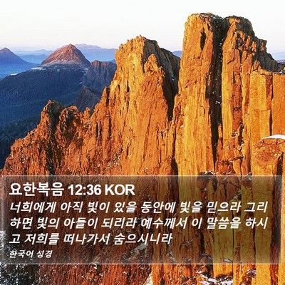 요한복음 12:36 KOR Bible Verse Image
