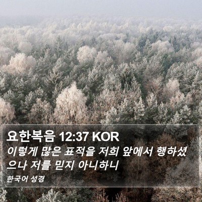 요한복음 12:37 KOR Bible Verse Image