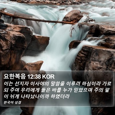 요한복음 12:38 KOR Bible Verse Image