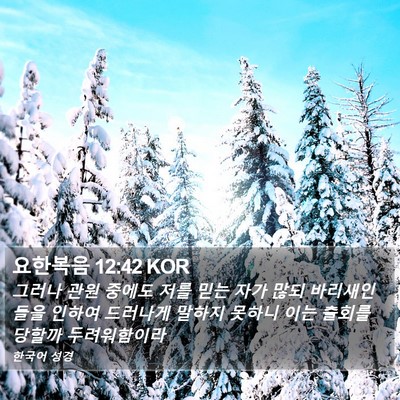 요한복음 12:42 KOR Bible Verse Image
