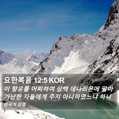 요한복음 12:5 KOR Bible Verse Image