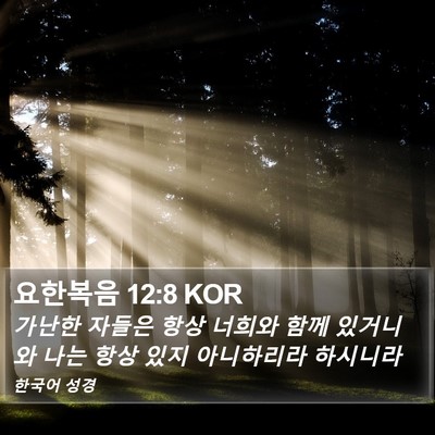 요한복음 12:8 KOR Bible Verse Image