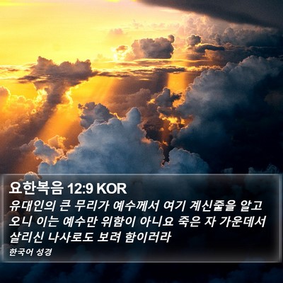 요한복음 12:9 KOR Bible Verse Image
