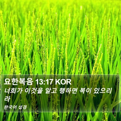 요한복음 13:17 KOR Bible Verse Image