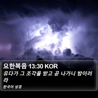 요한복음 13:30 KOR Bible Verse Image