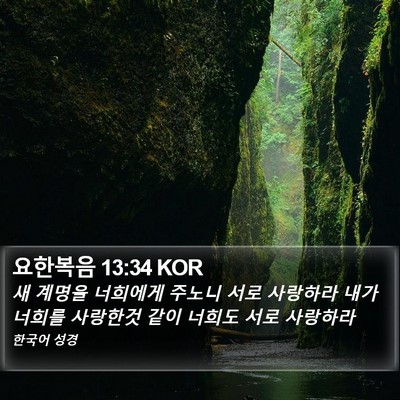 요한복음 13:34 KOR Bible Verse Image