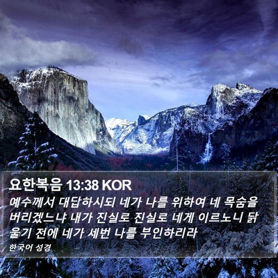 요한복음 13:38 KOR Bible Verse Image