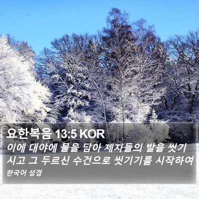 요한복음 13:5 KOR Bible Verse Image