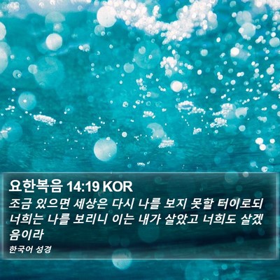요한복음 14:19 KOR Bible Verse Image