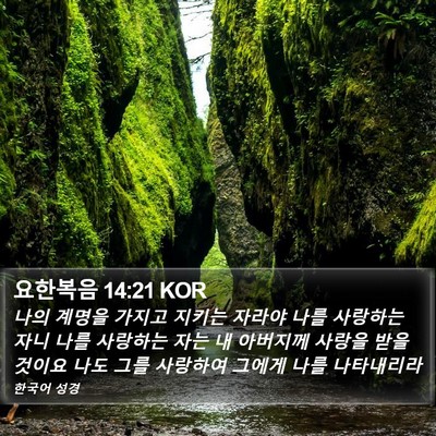 요한복음 14:21 KOR Bible Verse Image