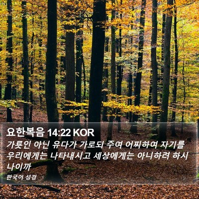 요한복음 14:22 KOR Bible Verse Image