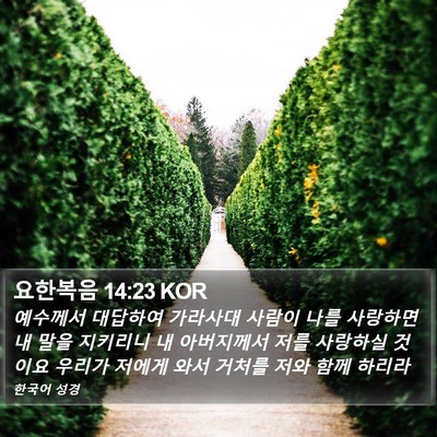 요한복음 14:23 KOR Bible Verse Image