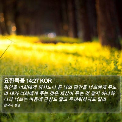 요한복음 14:27 KOR Bible Verse Image