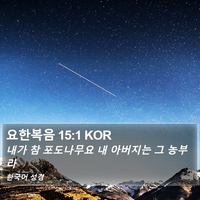 요한복음 15:1 KOR Bible Verse Image