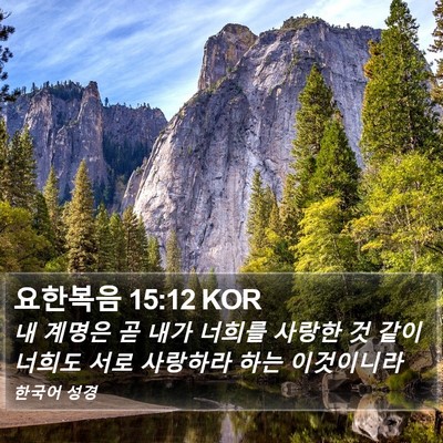 요한복음 15:12 KOR Bible Verse Image