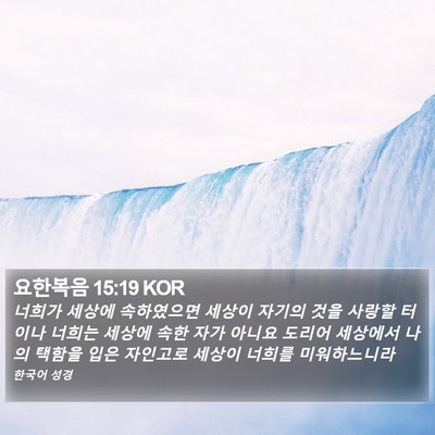요한복음 15:19 KOR Bible Verse Image