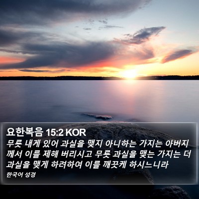 요한복음 15:2 KOR Bible Verse Image