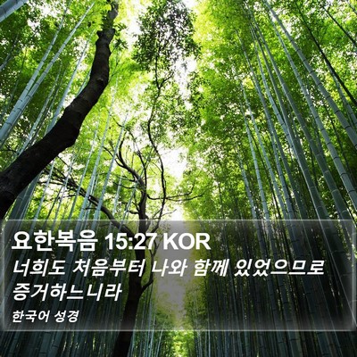요한복음 15:27 KOR Bible Verse Image