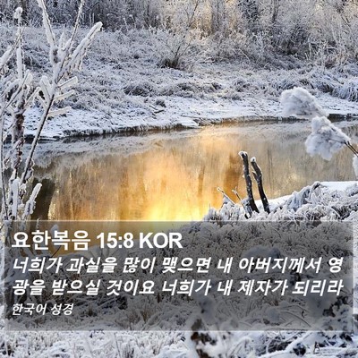 요한복음 15:8 KOR Bible Verse Image
