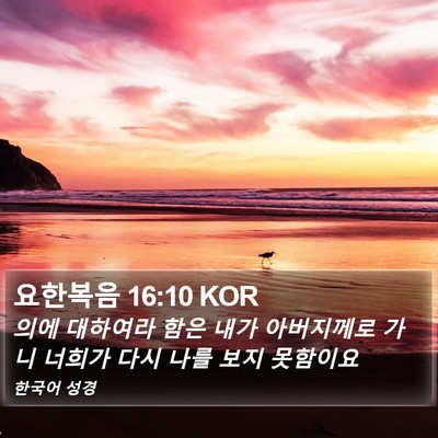 요한복음 16:10 KOR Bible Verse Image