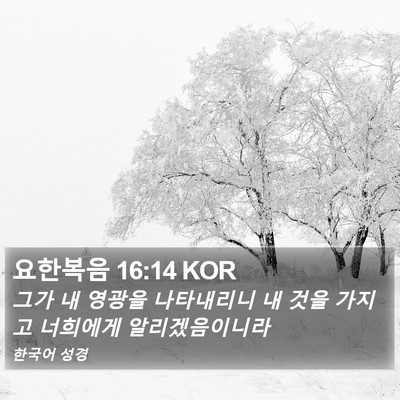요한복음 16:14 KOR Bible Verse Image