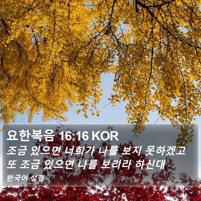 요한복음 16:16 KOR Bible Verse Image