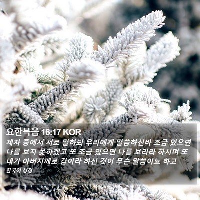 요한복음 16:17 KOR Bible Verse Image
