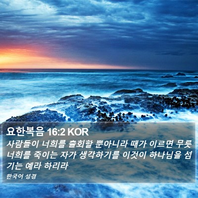요한복음 16:2 KOR Bible Verse Image