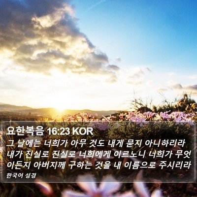 요한복음 16:23 KOR Bible Verse Image