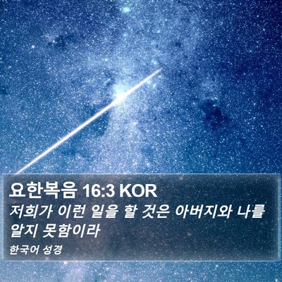 요한복음 16:3 KOR Bible Verse Image