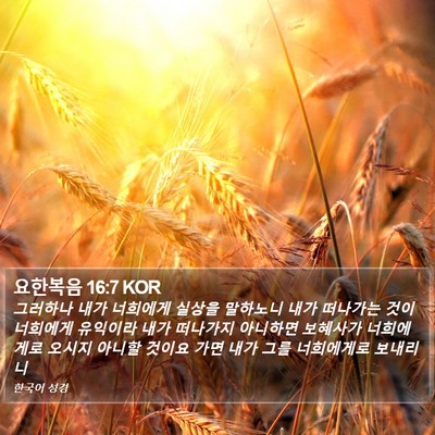 요한복음 16:7 KOR Bible Verse Image