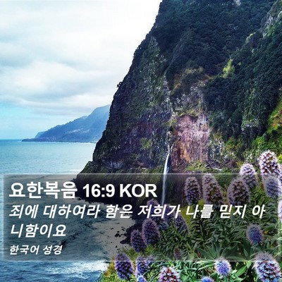 요한복음 16:9 KOR Bible Verse Image