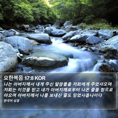 요한복음 17:8 KOR Bible Verse Image