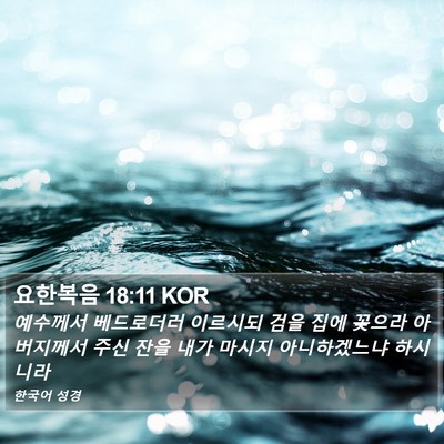 요한복음 18:11 KOR Bible Verse Image